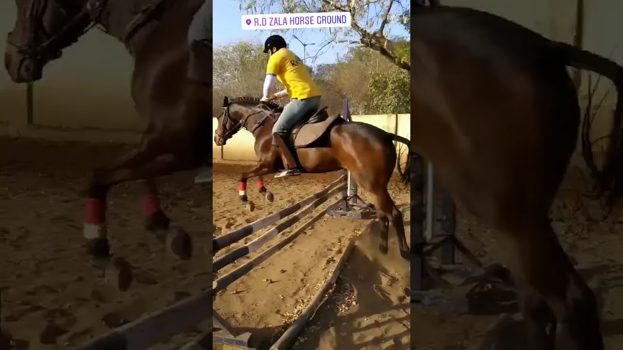 bhavnagar riding club