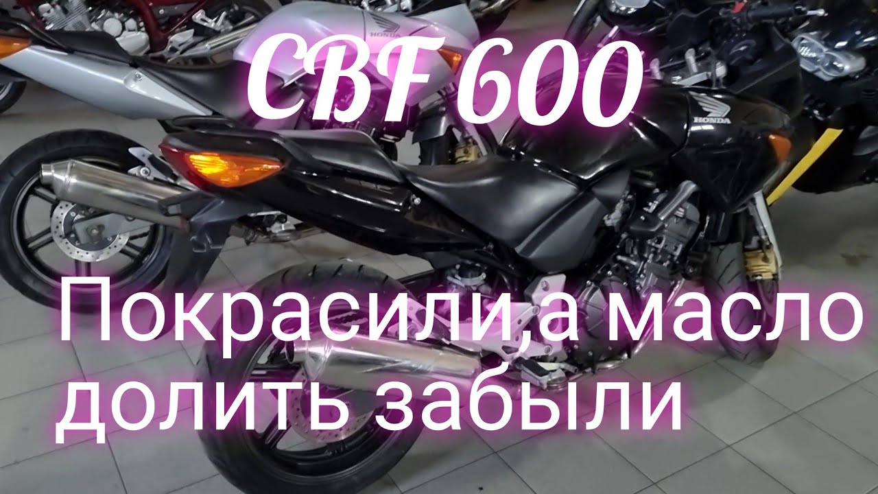 Honda CBF 600 подбор мотоцикла (хлам за 350 тысяч).рубрика мото подбор без пробега по России