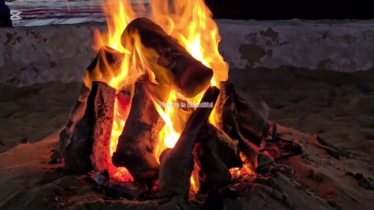 Sealine beach festival /Mesaieed beach/sealine beach Qatar  /Qatar events @AllinOneQatar2