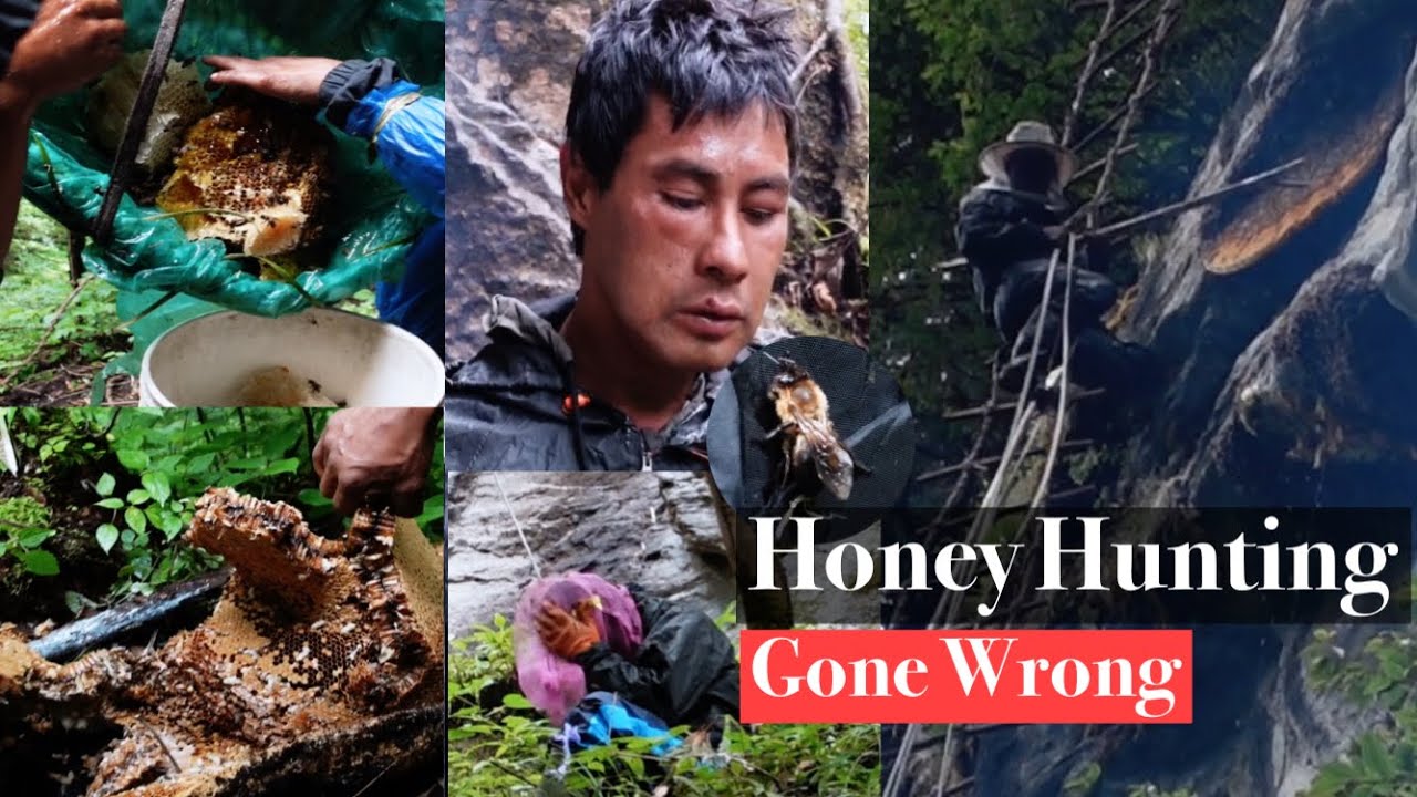 Mad Honey Hunting Went Wrong || Cliff Honey Hunting In Nepal