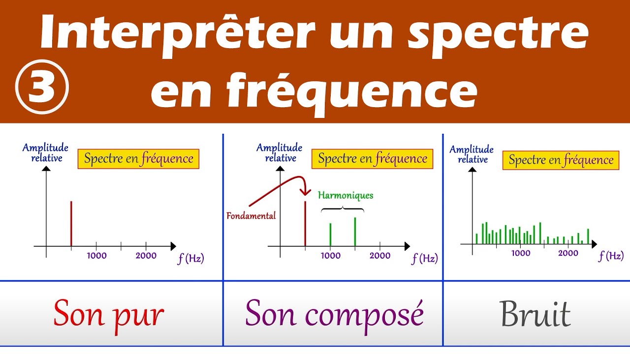 Analyser un spectre en fréquence d'un son. Enseignement scientifique (3/3)