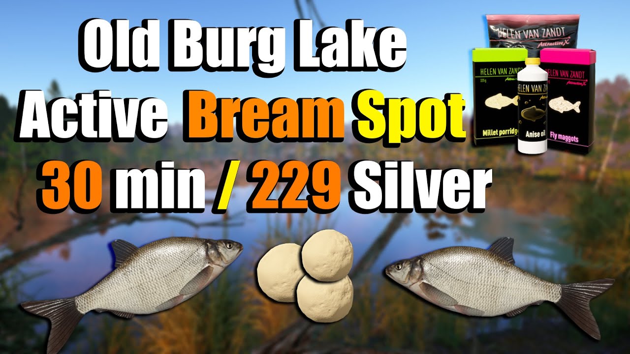 🎣Russian Fishing 4 RF4 - Old Burg Lake Carp Very Active Bream Spot#225