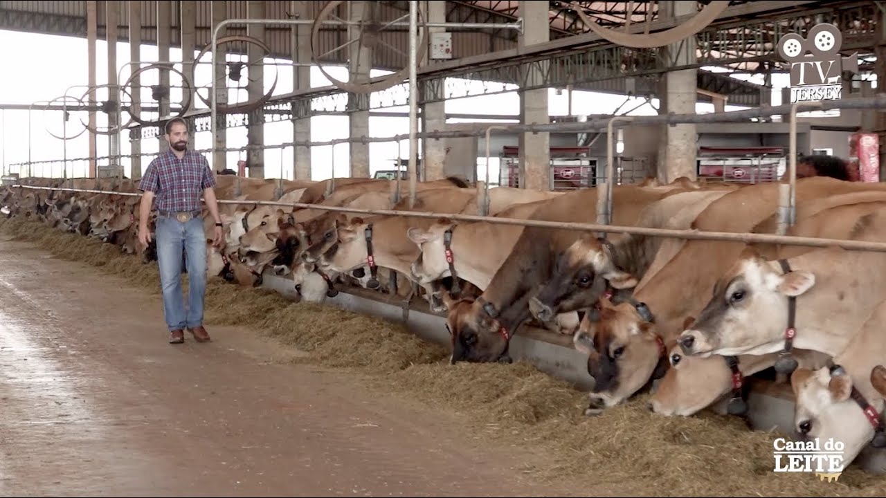 Agropecuária 2M – Tecnologia e Leite Jersey de Qualidade – Programa TV Jersey