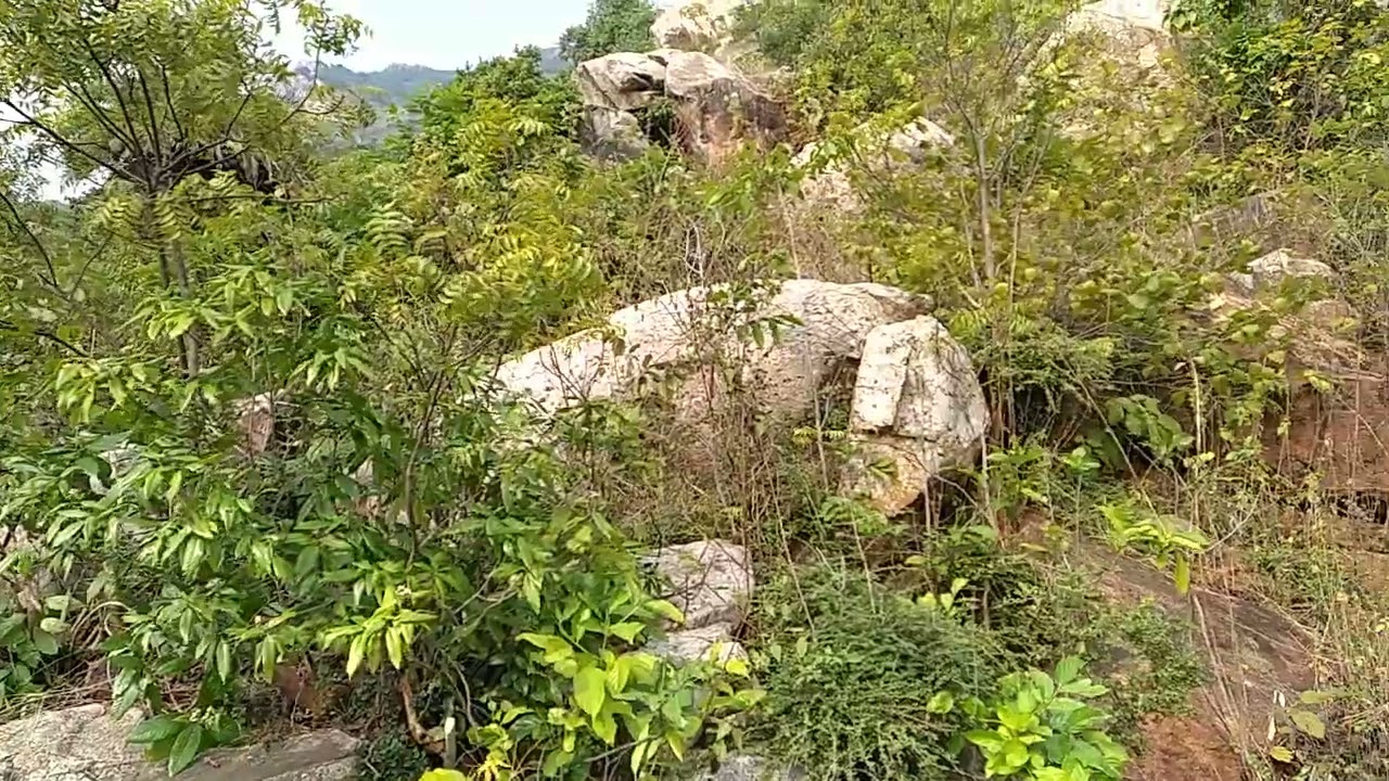 Baleshwar Nilagiri hill, The beautiful palace and picnic spot of Baleshwar