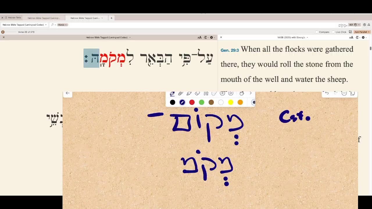 TelosTorah  Live Stream ~ Parashat Vayyetze