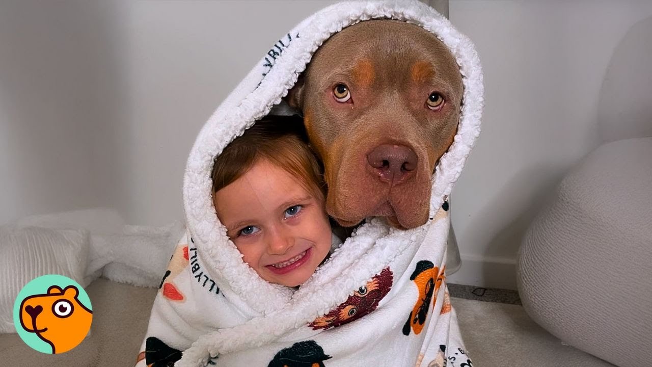 &lsquo;Scary&rsquo; Bully Proves Everyone Wrong When He Hugs Little Girl | Cuddle Buddies