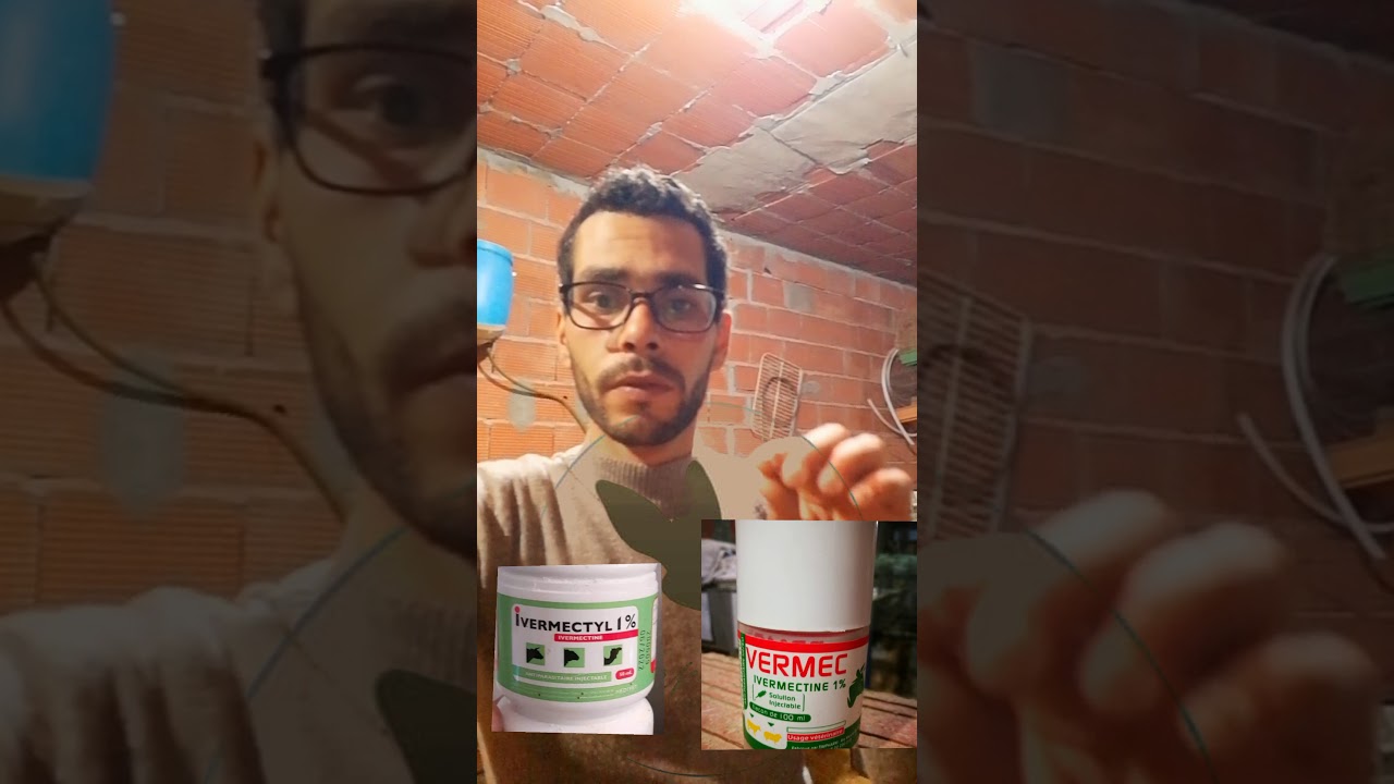 اخطر انواع الجرب