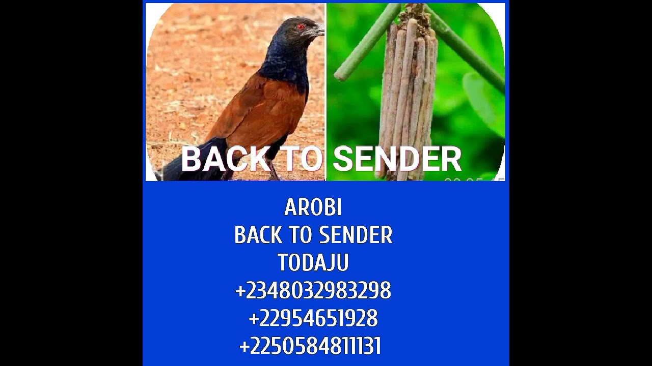 AROBI TODAJU, (BACK TO SENDER) +2348032983298, +22954651928, +2250584811131