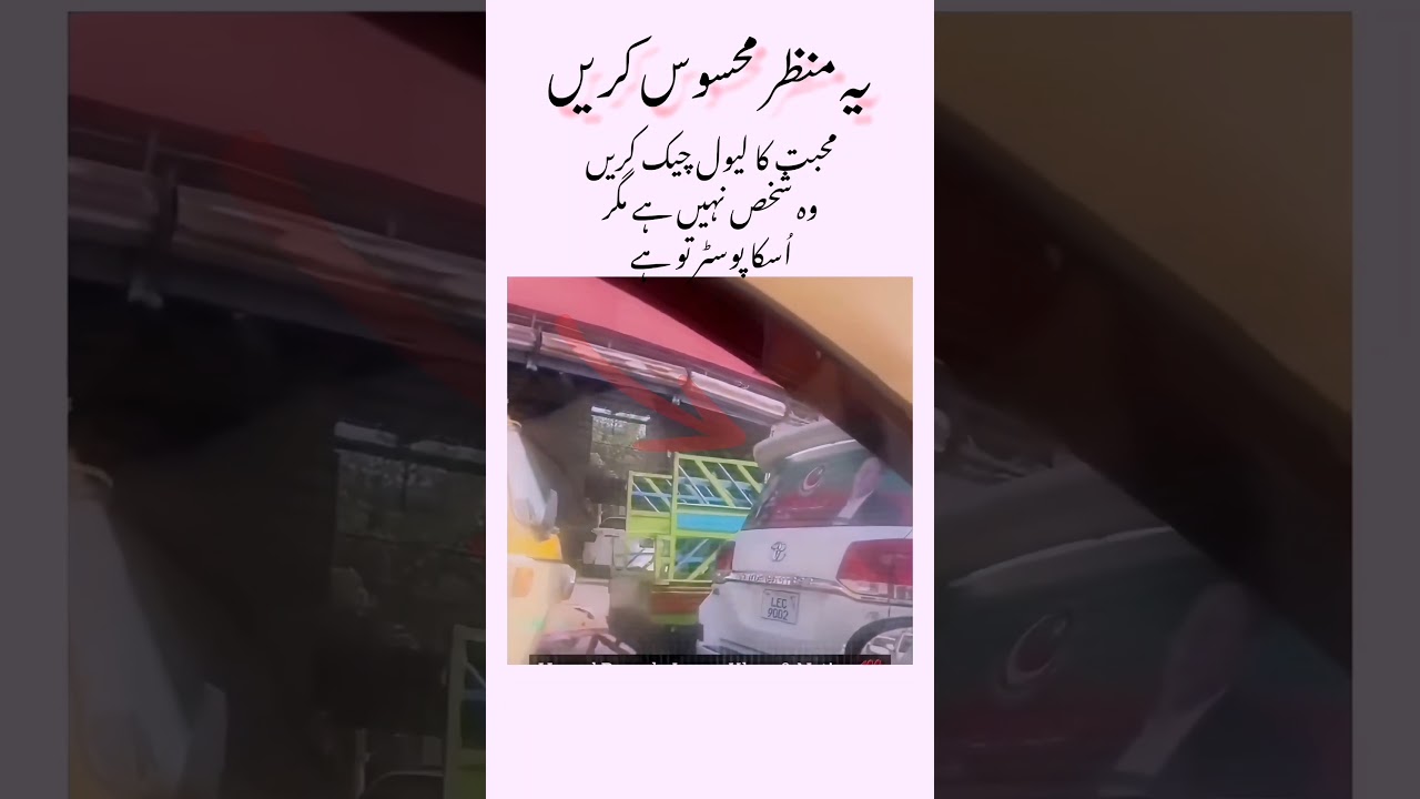 Auto Driver Salutes Imran Khan's Party Flag in Traffic