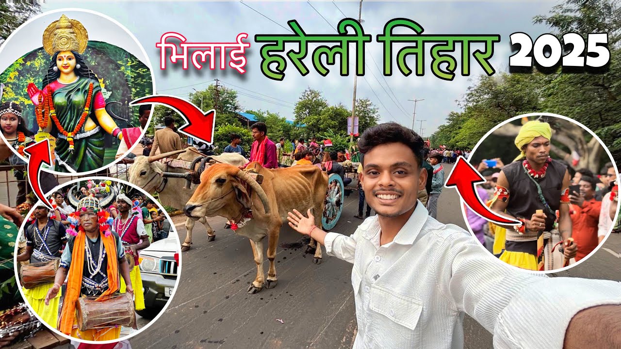 भिलाई हरेली तिहार 2025 🌾| Bhilai hareli tihar 2025 | #chhattisgarh #bhilai #raipur #sahilnxq