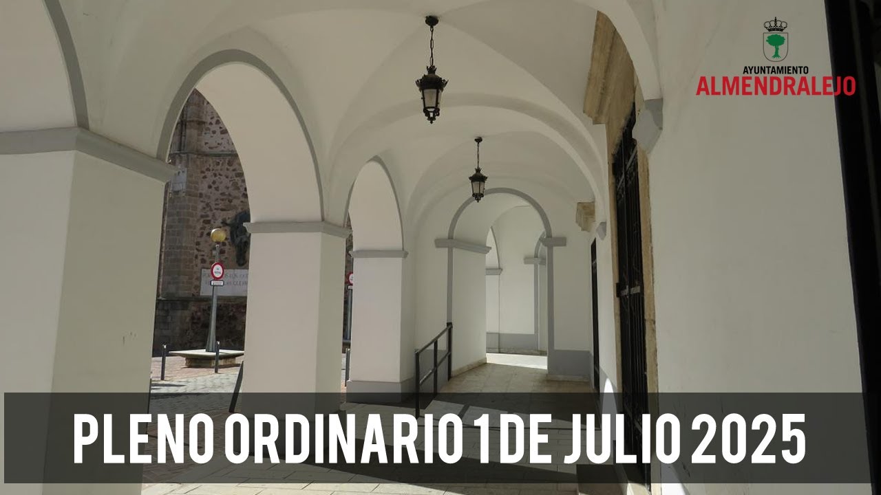 Pleno ordinario 1 de julio de 2025