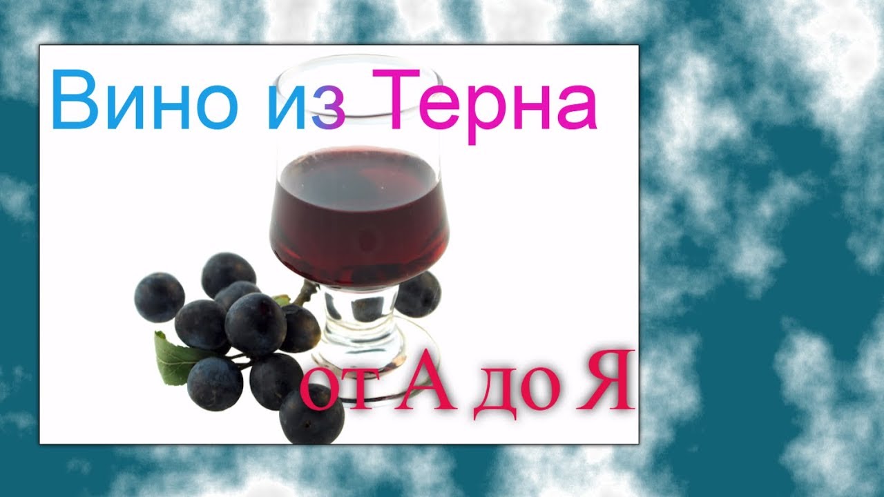 Вино из терна 1 часть