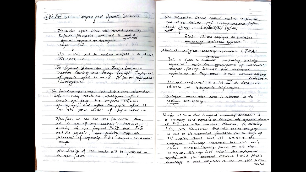 Future Directions in Research on Foreign Language Enjoyment and Engagement