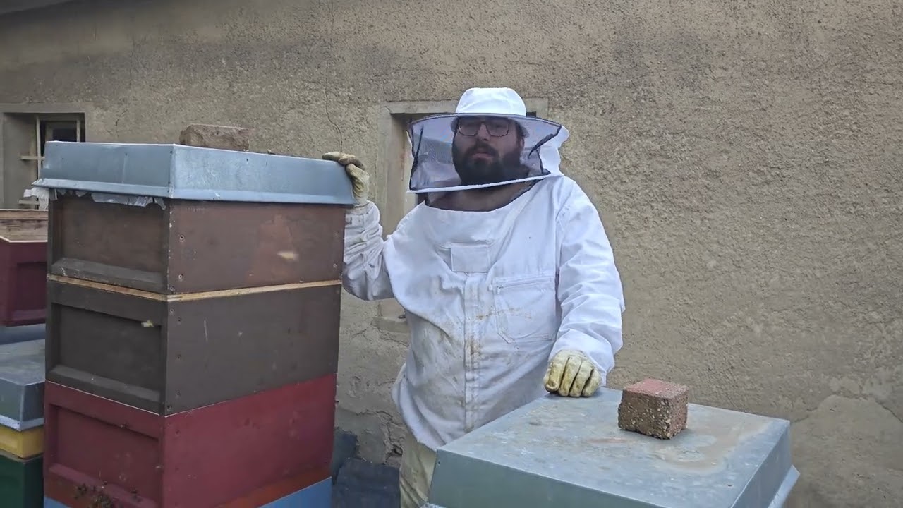 Bienen halten Anf&auml;nger Tipps (2025) Erkl&auml;rung #imker #bienen