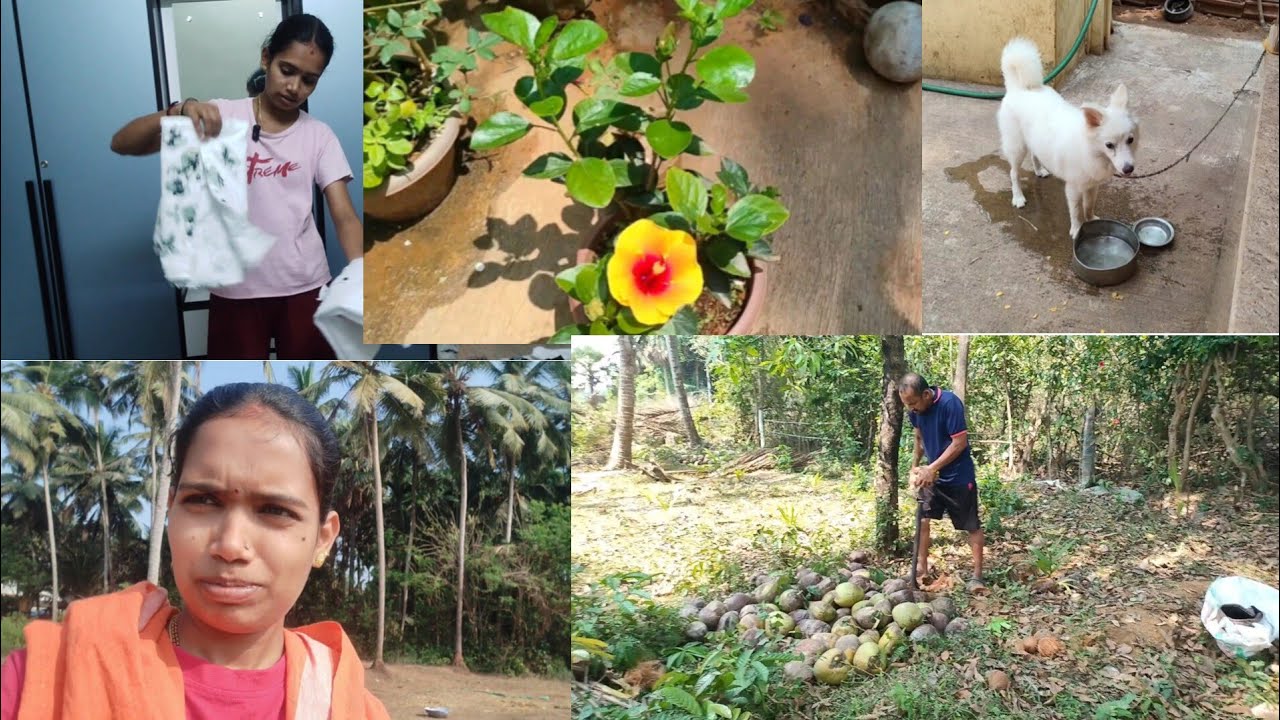 Yepola enchene apuni 🤷 totag churu poya 💗