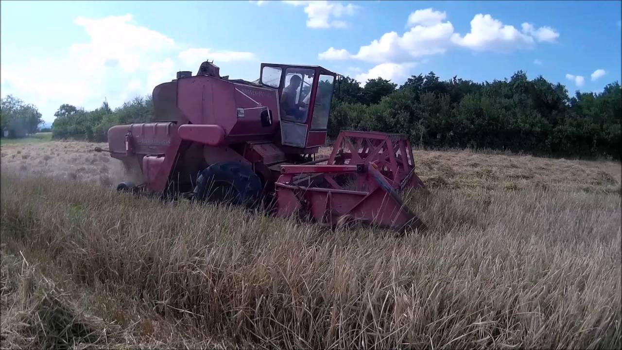 Mf 87 árpa aratás