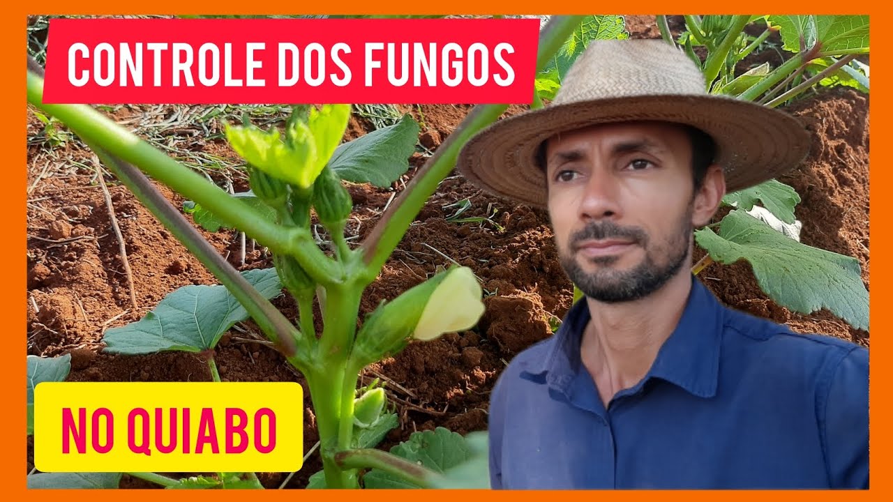 Como fazer o controle das doenças e fungos no Quiabo,e hortaliças em geral //Rotina na Roça