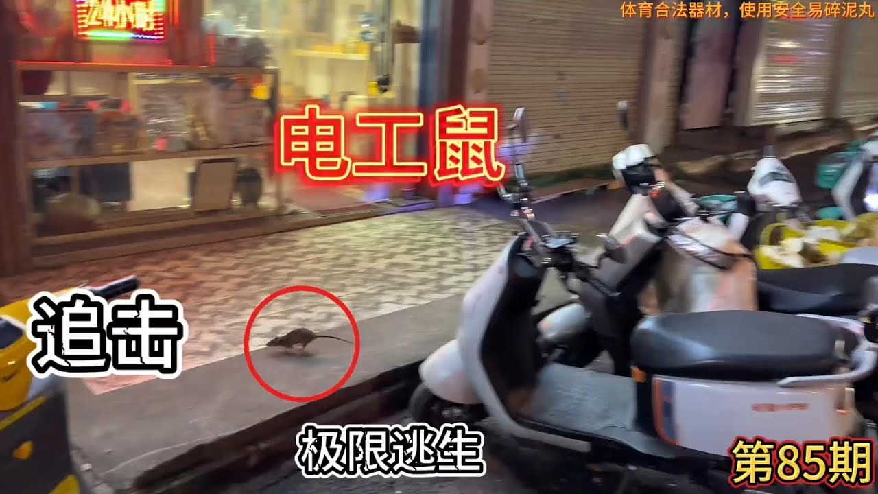 广西小伙儿又火了！弹弓打老鼠技术堪称天下无敌，你敢来挑战一下吗？#高手在民间 #弹弓#解压视频