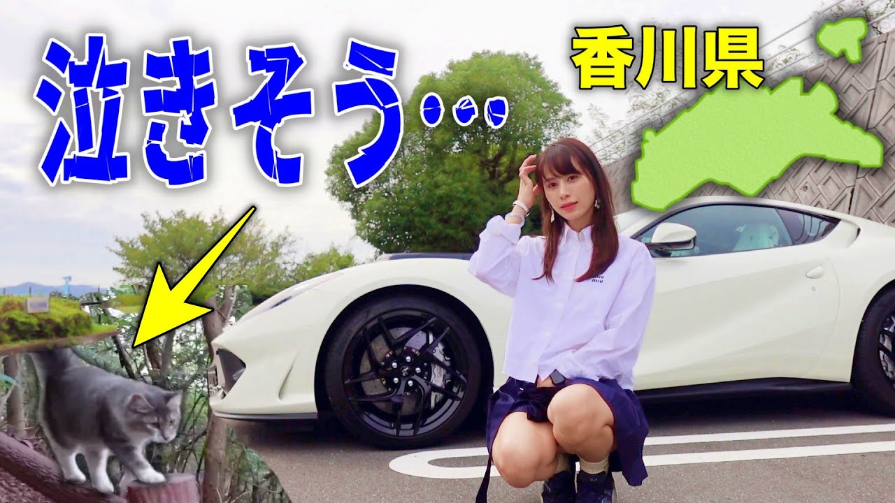 【お願いやめて…】フェラーリで香川県に行ったら子猫に後をつけられ、撮影中断することになりました。