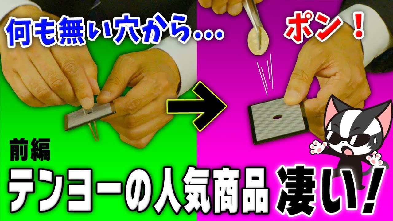 【マジックグッズ】さすが世界のテンヨー！プロ技マジックがすぐにできる人気商品が凄すぎた！【ニャリックがきた】