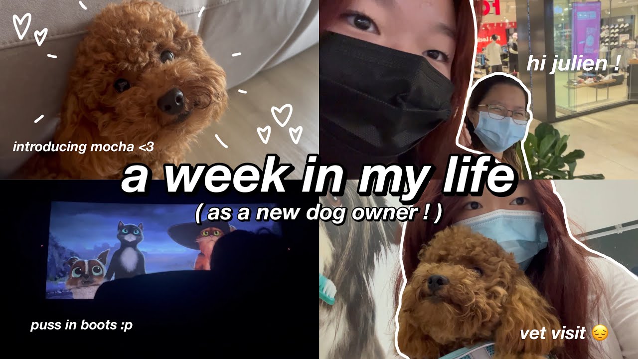 a week in my life !  ˚୨୧⋆｡˚ ⋆
