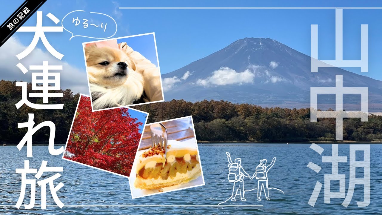 【2024紅葉🍁ワンコと山中湖1泊2日】富士山とカフェと紅葉を満喫した家族の記憶🏔️🍁🍰🐕#山梨 #山中湖 #犬連れ #富士山 #紅葉