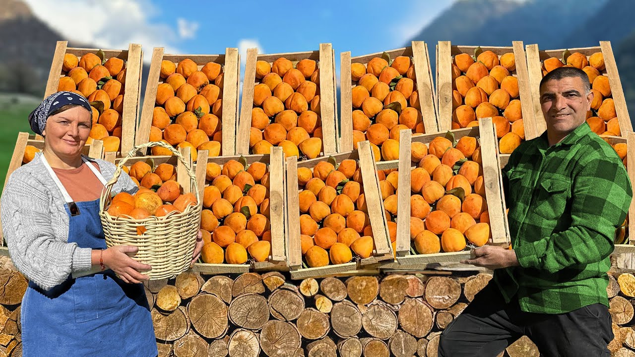 Harvesting & Cooking a Delicious Persimmon Dessert in the Mountains! 🤤