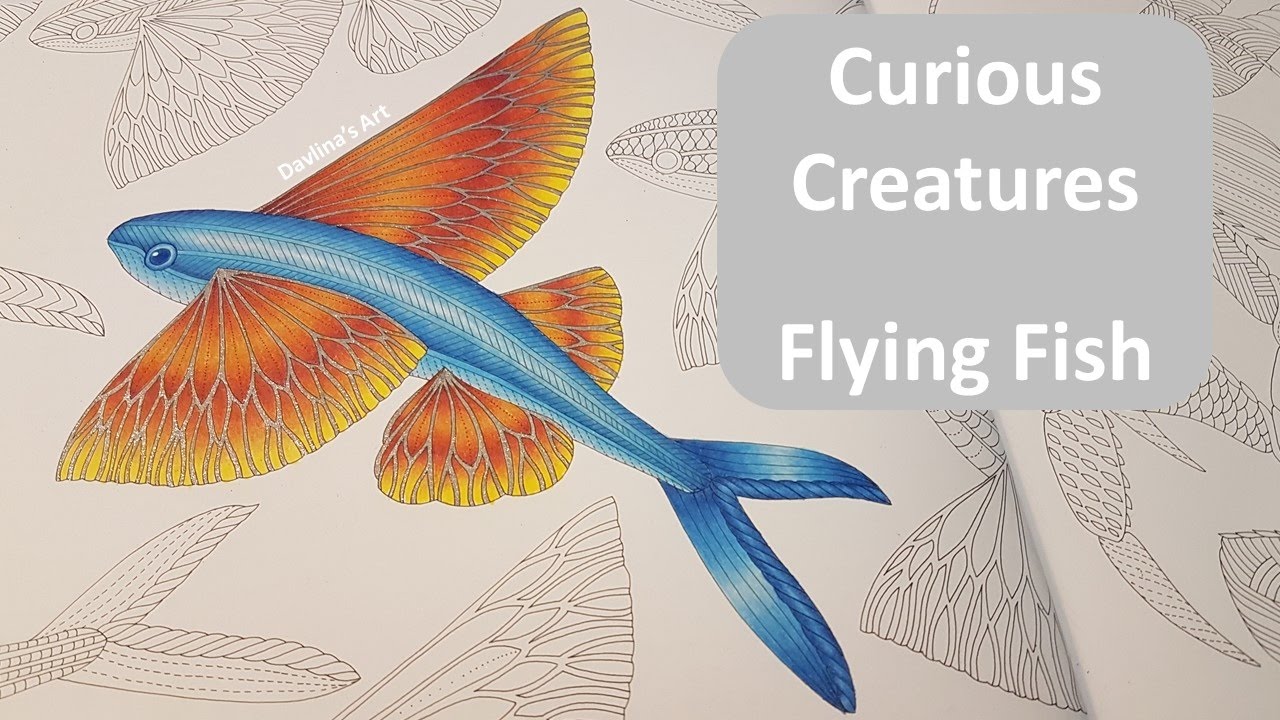 How to: Color a Flying Fish | CURIOUS CREATURES by Mille Marotta