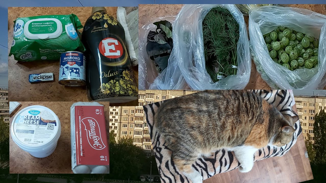 Хозяйство меня поглотило!))) Маленькие покупки. Всего понемногу. Планирую торт. Дождалась посылку)))
