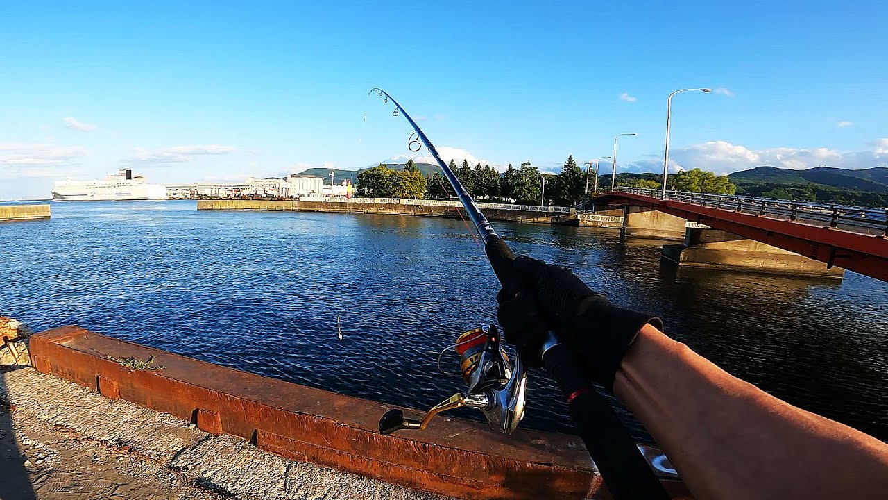 【北海道石狩湾・小樽釣り】小樽鮭釣り会場オープン!!　2025.9.15　北国の生活（浮きルアー、浮きフカセ、小樽港勝内）