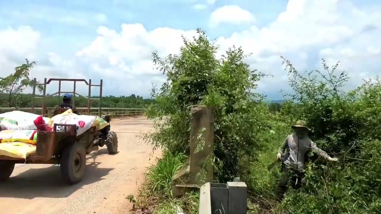 Dangerous Sidewalk Cleanup Turned Deadly &ndash; Cleaning Team Attacked by Giant Python from Bushes!