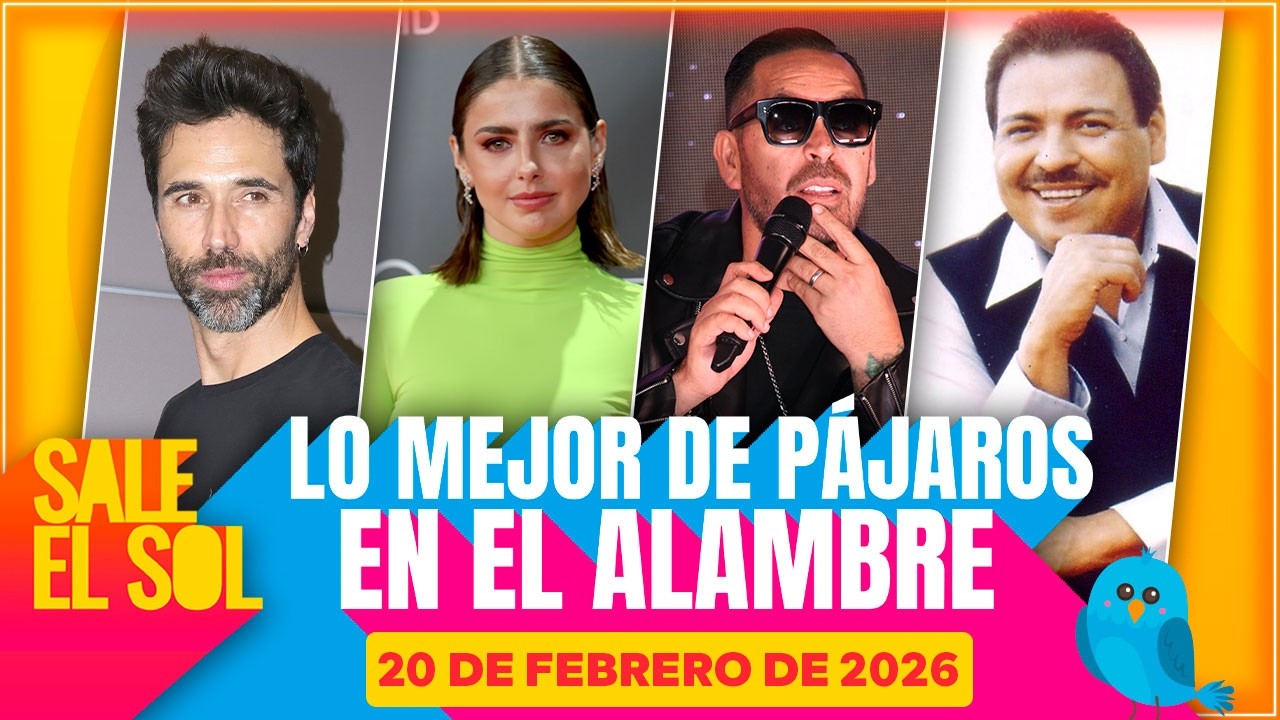 Matías Novoa será PAPÁ por TERCERA vez junto a Michelle Renaud | LoMejorDePájaros SaleElSol 20/2/26