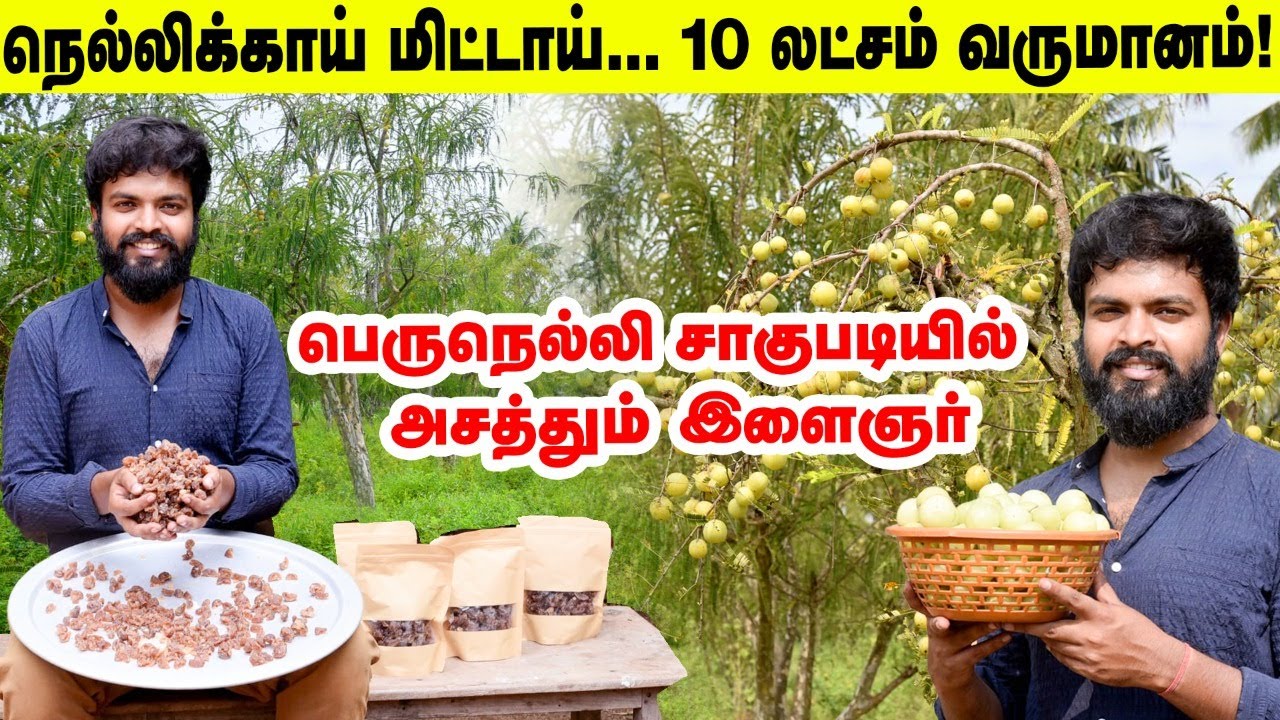 'என் வருமானத்தைப் பார்த்து ஆச்சர்யப்படுறாங்க | Dry Amla Candy | நெல்லிக்காய் மதிப்புக்கூட்டல்