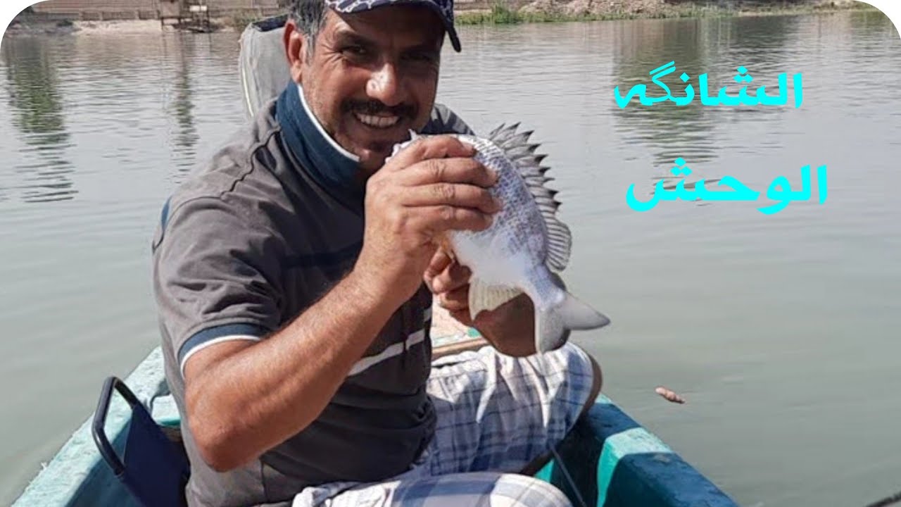 شاهد الشانگه العملاقه#قيصر_الصياد