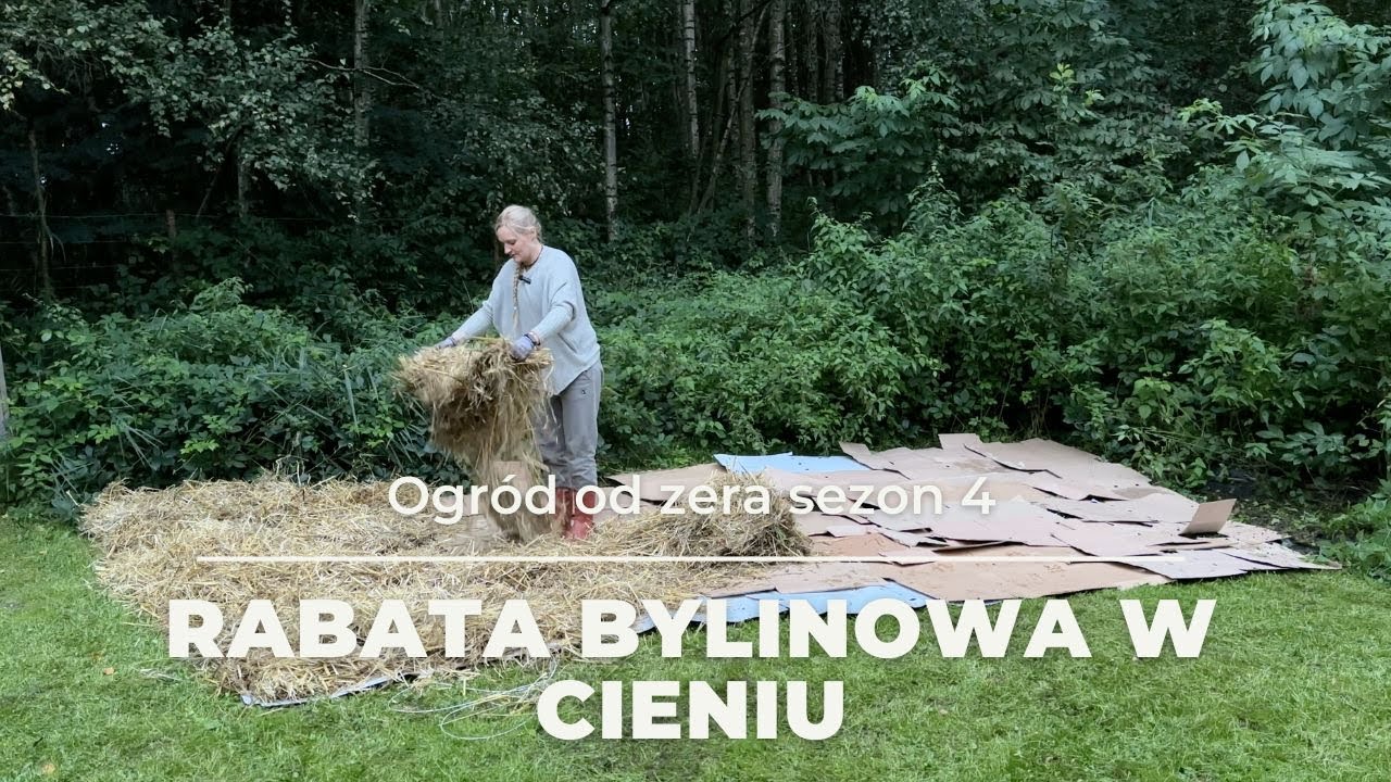 Nowa rabata bylinowa w cieniu, metodą no dig [Ogród od zera s04]
