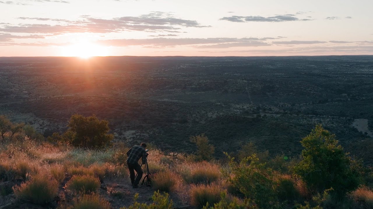 Wildlife Observation with Leica APO-Televid 65 W - The return of our classic spotting scope
