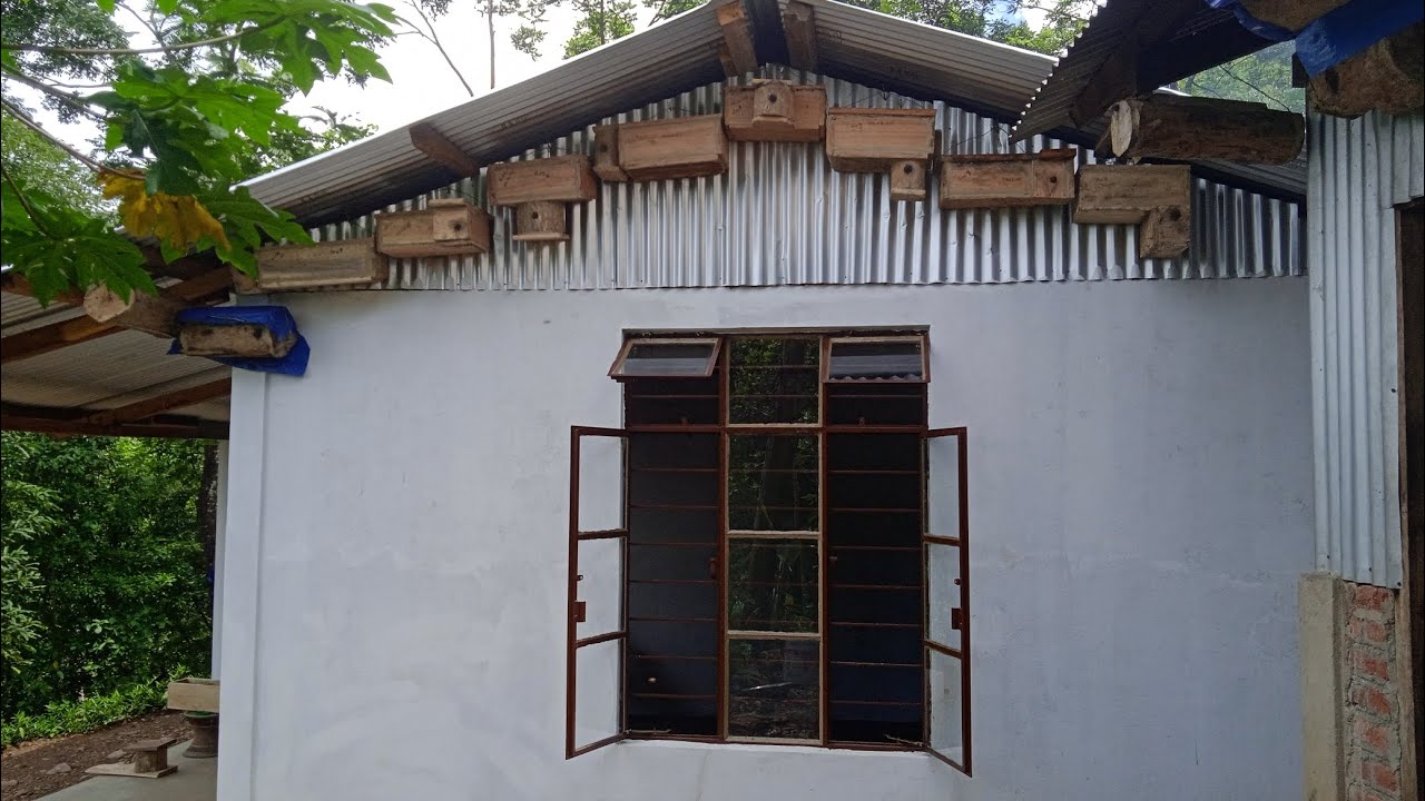 How to Identify the Stingless Bee Queen Cell