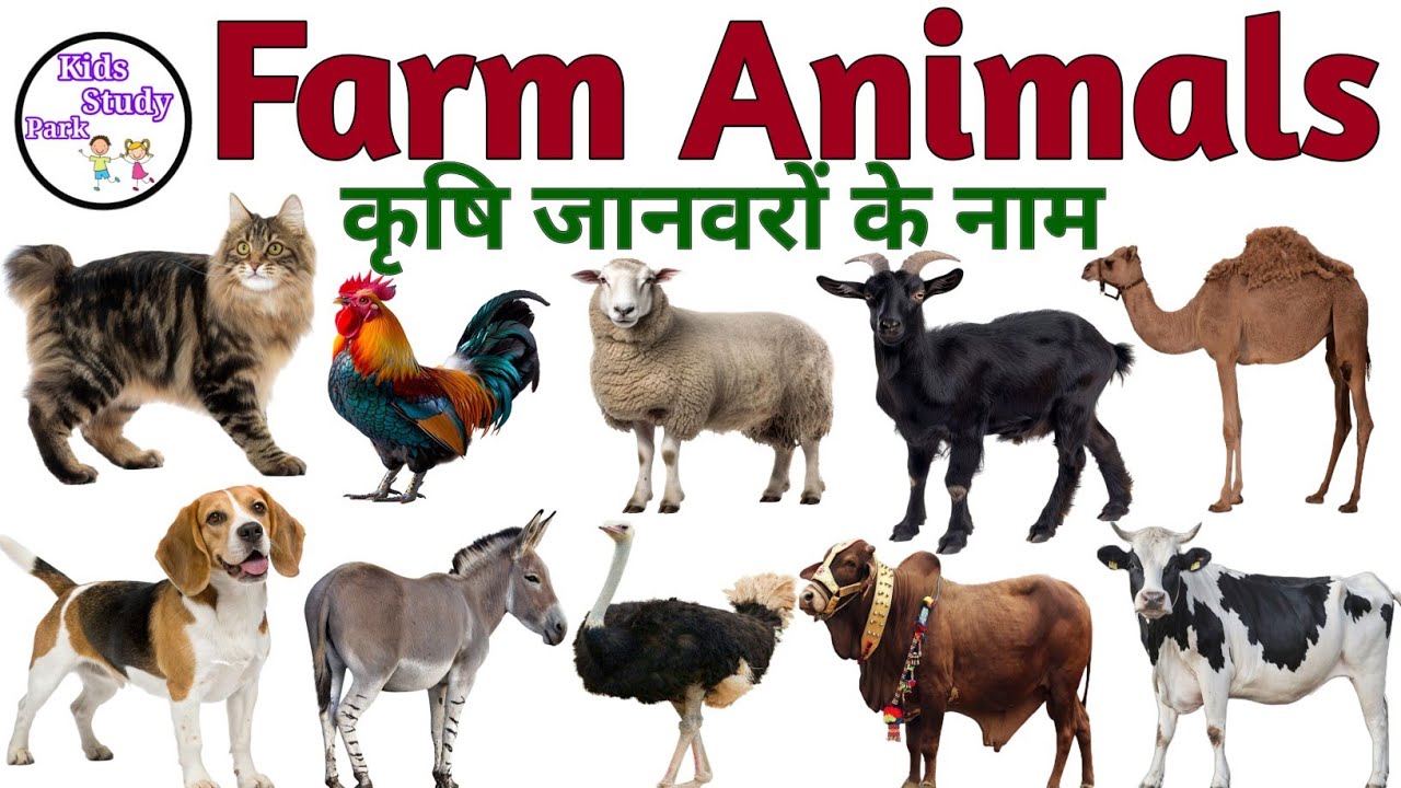 Animals Name | Domestic Animals & Pet Animals Name | Farm Animals | बच्चों के लिए जानवरों के नाम