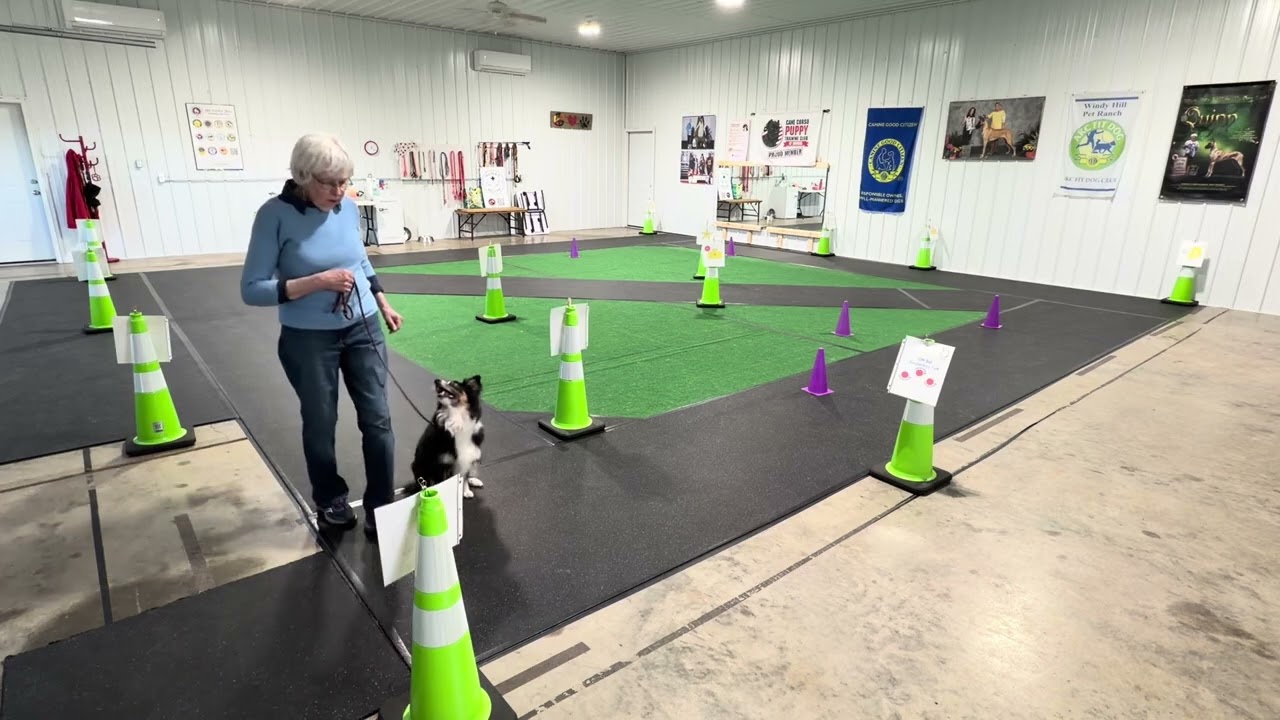 Maggie Virtual Rally Novice Course 1