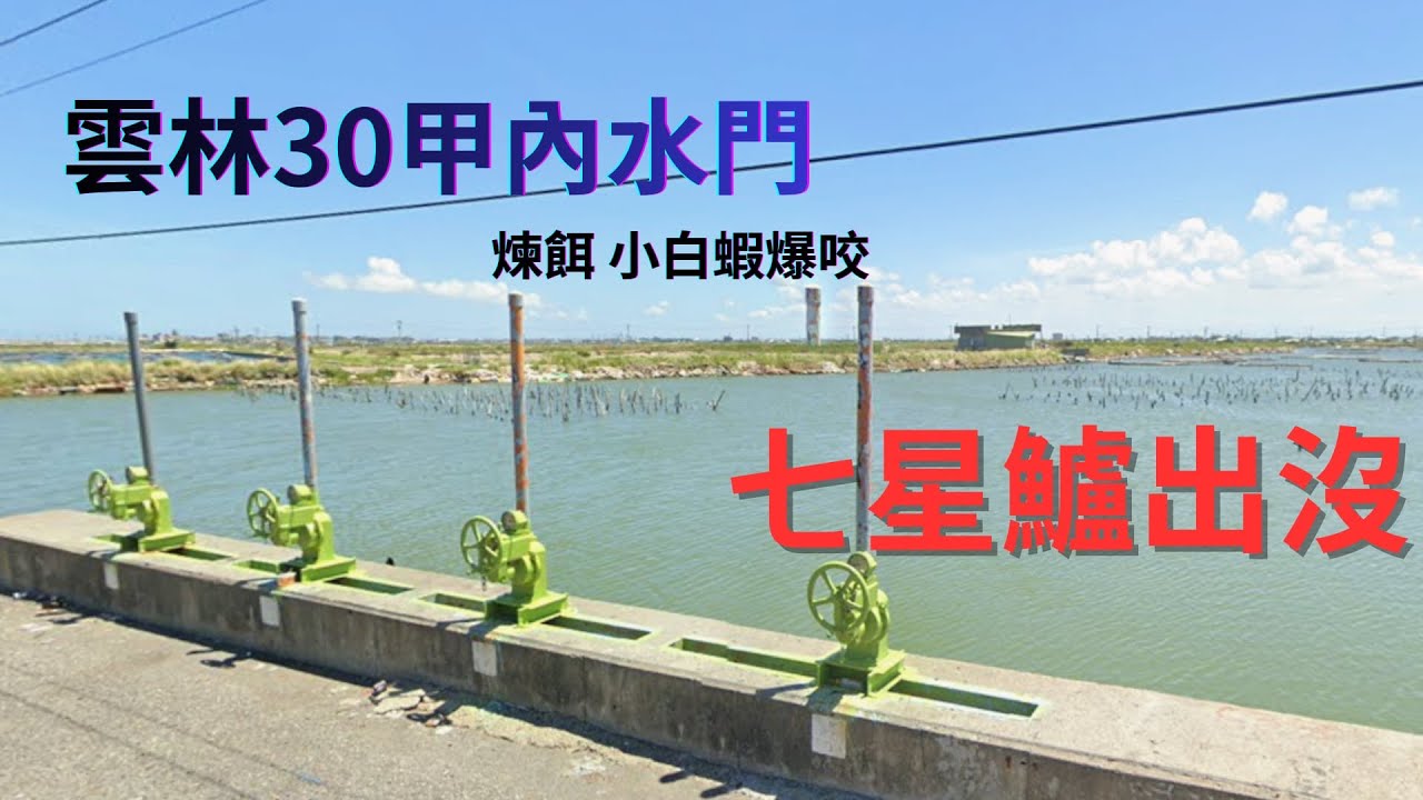 雲林口湖30甲水門 煉餌 小白蝦 爆咬 七星鱸出沒 #釣魚分享 #大魚 #垃圾帶走