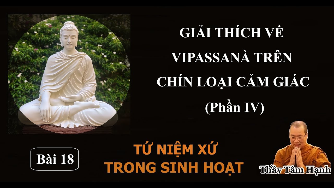 Bài 18 - Giải thích về Vipassanà trên chín loại cảm giác (phần IV) (29/11/2025).