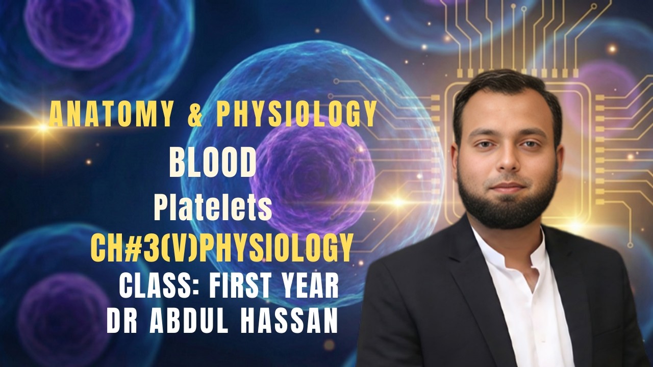 Platelets in Physiology: Structure, Formation and Role in Hemostasis and Blood Clotting