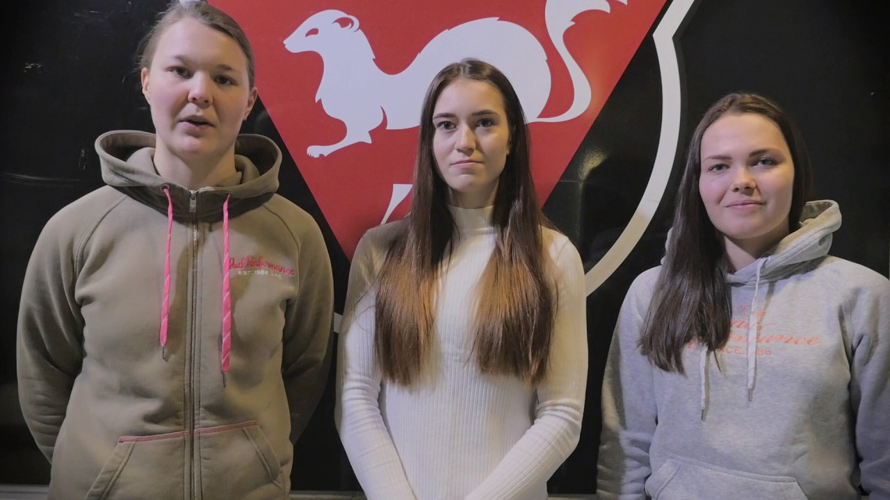 Työkokeilu