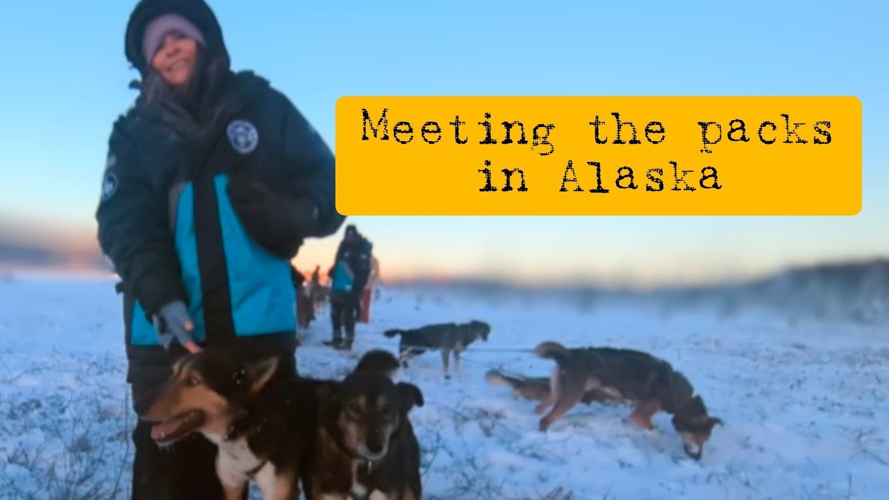 First full day in Alaska ❄️🐾