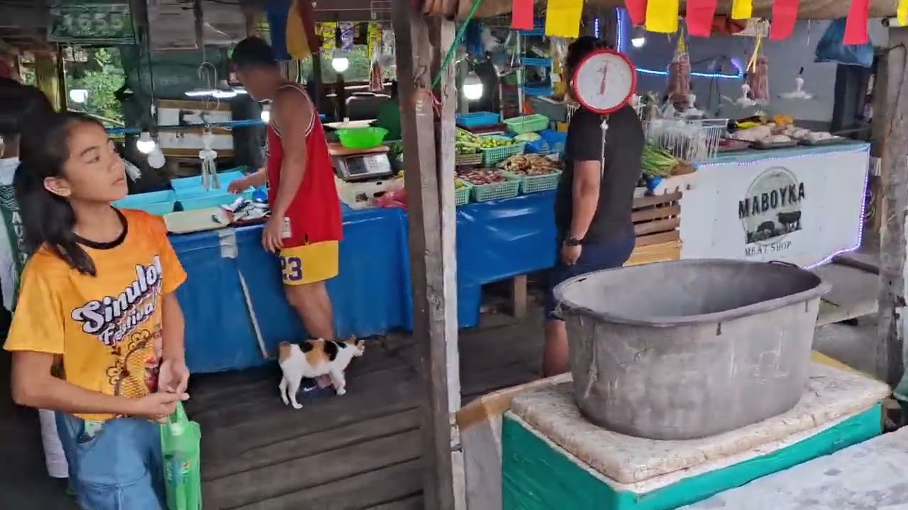Bohol Tagbilaran Philippines Morning Walk