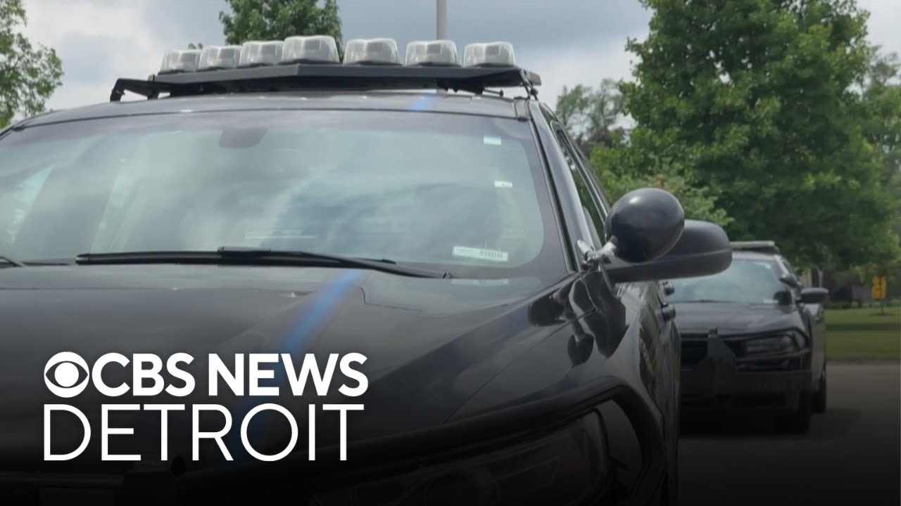 Woman in custody after deadly Livonia hit-and-run