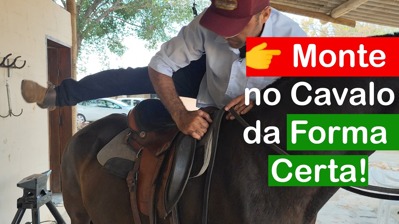 Erro Comum ao Montar no Cavalo &mdash; Veja a Forma Certa!