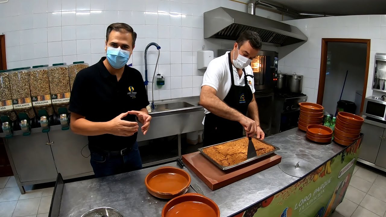 Cake for our birds - S01E03 - Loro Parque LIFE