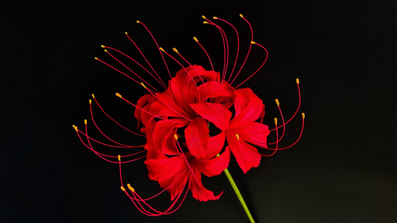 How To Make Red Spider Lily Paper Flower / Paper Flower / Góc nhỏ Handmade