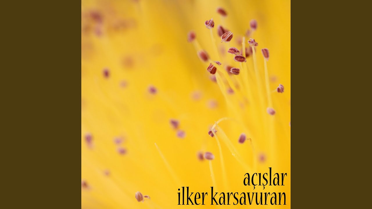 Hicaz Açış (Hicaz improvisation)